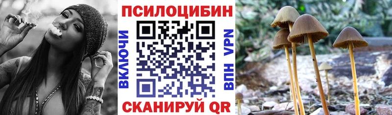 Псилоцибиновые грибы Psilocybine cubensis  сайты даркнета Telegram  Николаевск-на-Амуре  hydra ТОР 